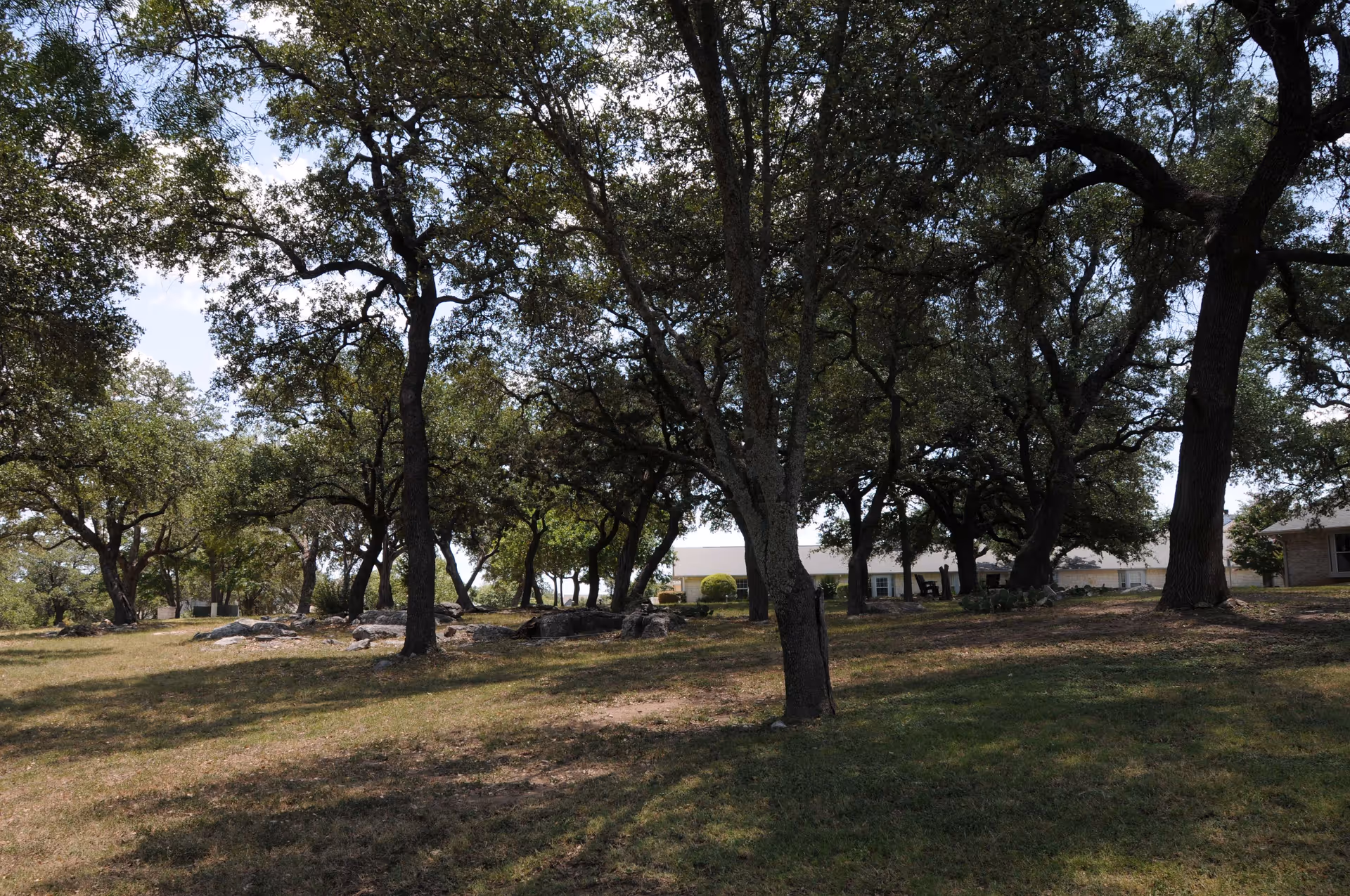 A grassy outdoor area with scattered large trees providing shade. In the background, there are single-story buildings partially visible through the trees under a partly cloudy sky.