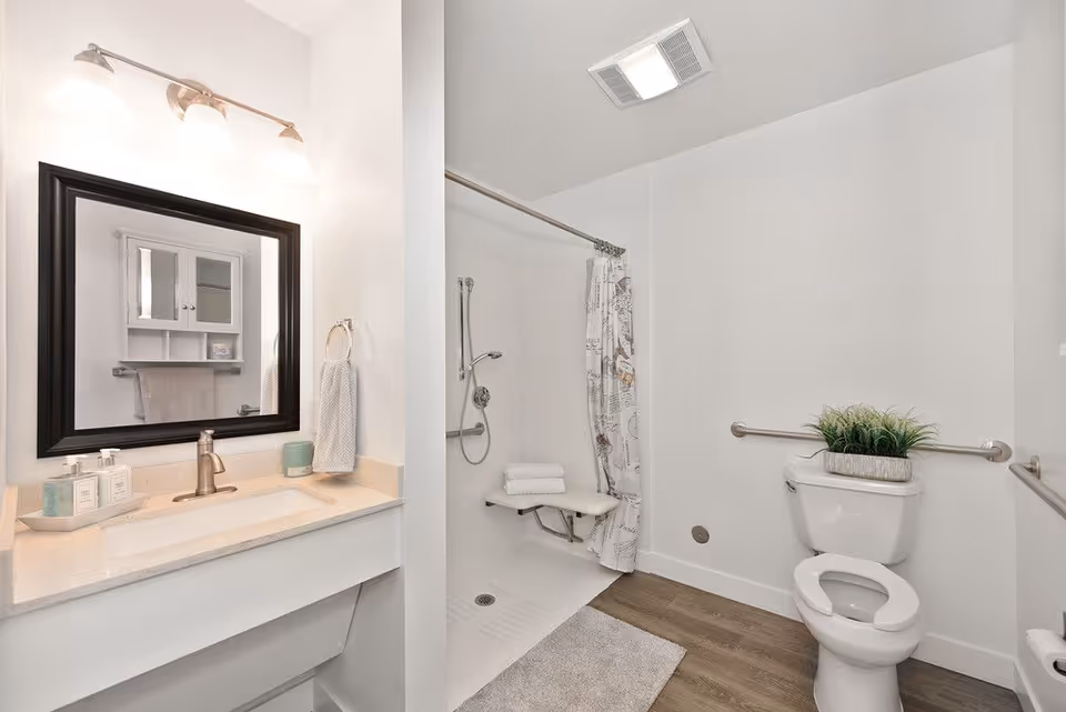 A clean, accessible bathroom with a white vanity and sink, a large mirror with black frame, and a light fixture above. There is a walk-in shower with a fold-down seat and a shower curtain. The toilet has a grab bar behind it and a small plant on top of the tank. The floor is wood-style with a light-colored bath mat.