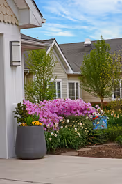 Entrance area of a senior living building with a sidewalk, a large planter, blooming pink azaleas and shrubs in front of beige siding and windows.