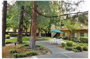 Courtyard with tall trees, paved walkways, a patio table with umbrella, and surrounding single-story apartment units.