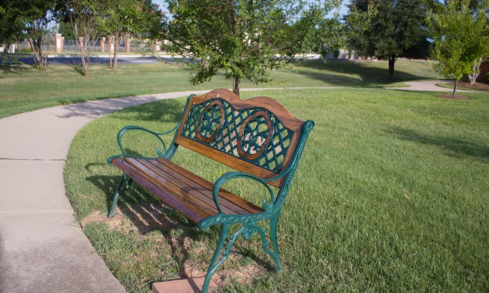 A decorative wooden and metal bench sits beside a curved concrete pathway in a grassy outdoor area with several trees and shrubs in the background under a clear sky.