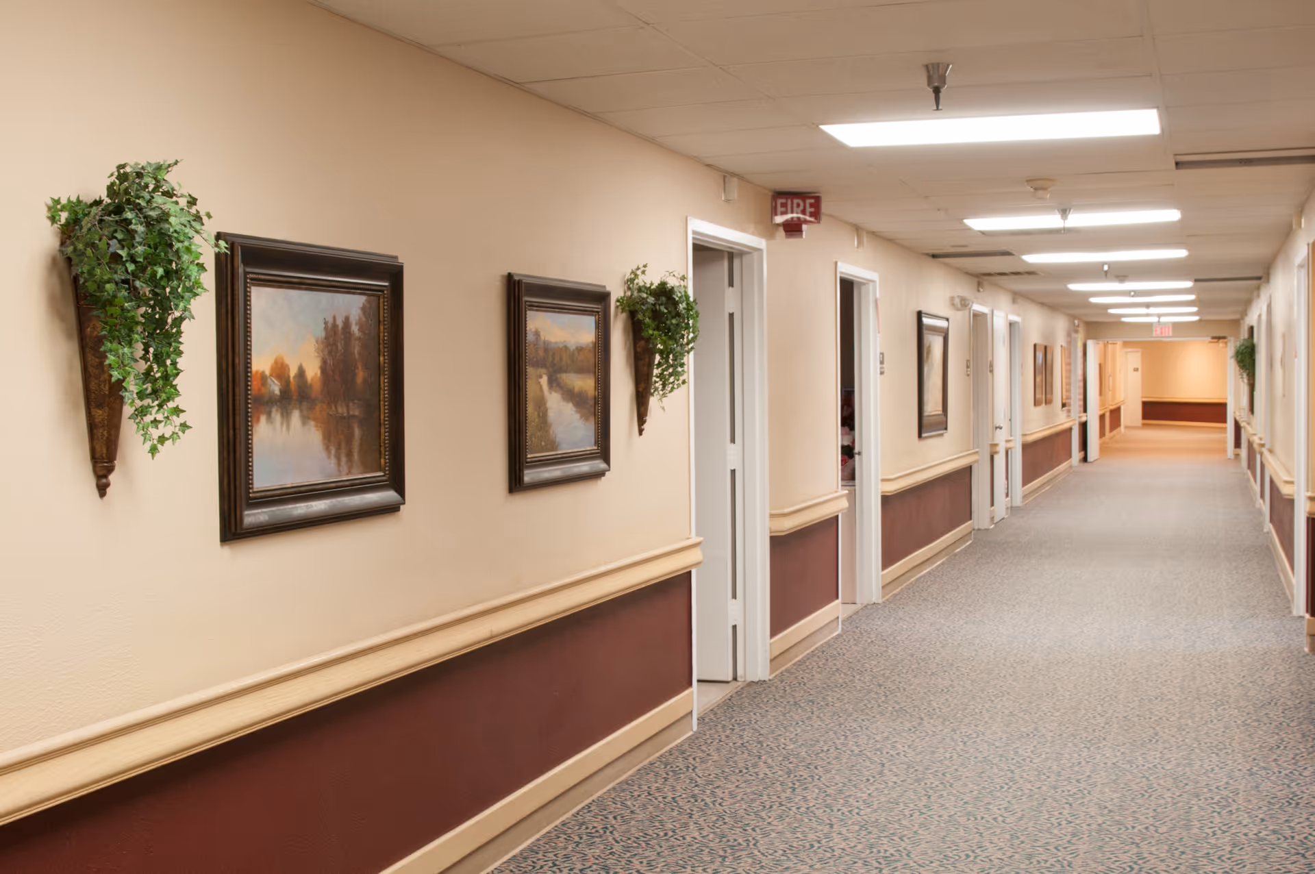 A long, well-lit hallway in a senior living facility with beige and maroon walls, carpeted floor, framed landscape paintings, and decorative wall-mounted plants. Several white doors line the hallway, and there is a fire alarm and exit sign visible on the ceiling.