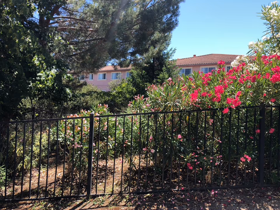 Outdoor garden area with a black metal fence in the foreground, colorful flowering bushes with pink and red flowers, tall green trees, and a building with a red tiled roof and multiple windows in the background under a clear blue sky.