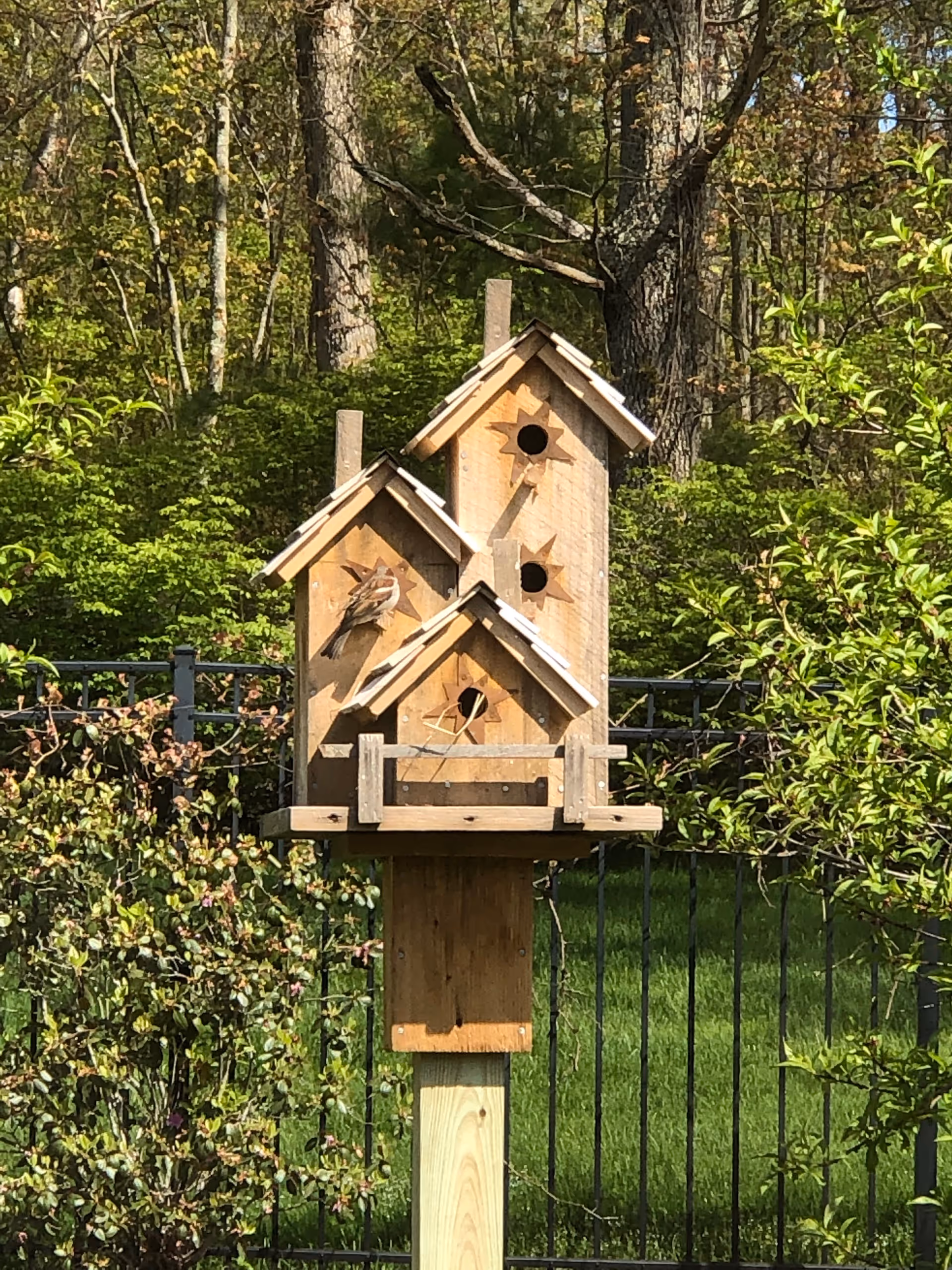 A wooden birdhouse with three small house-shaped compartments mounted on a wooden post in a garden. A small bird is perched on the front of one compartment. The background shows green bushes, trees, and a black metal fence.