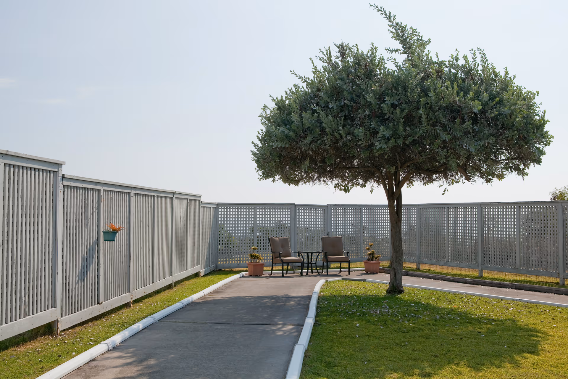 Outdoor area with a paved pathway bordered by grass, a large tree providing shade, two chairs and a small table set near a white lattice fence, and potted plants placed along the fence.