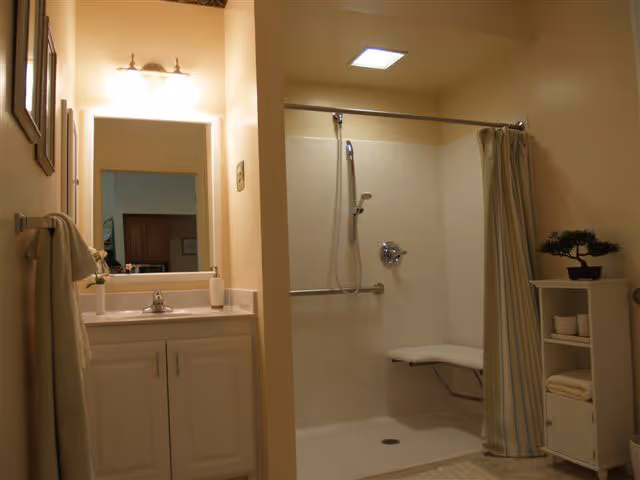 A bathroom with a white vanity and sink on the left, a large mirror above the sink with a light fixture, and a walk-in shower with a fold-down seat and a shower curtain on the right. There is a small shelving unit with towels and a small plant next to the shower.