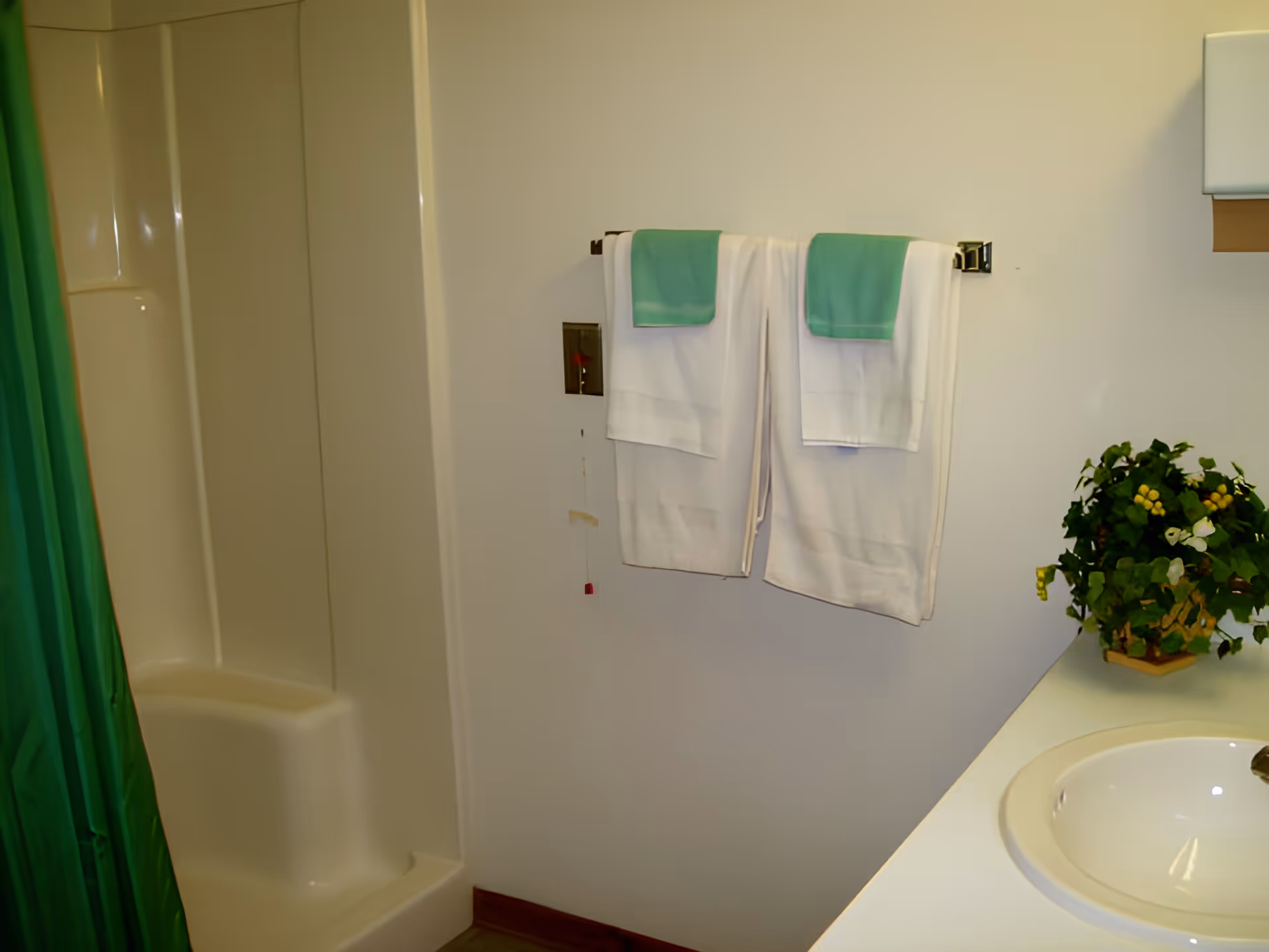 A bathroom with a shower stall, sink countertop, two white towels with green accents hanging on a rack, and a potted plant.