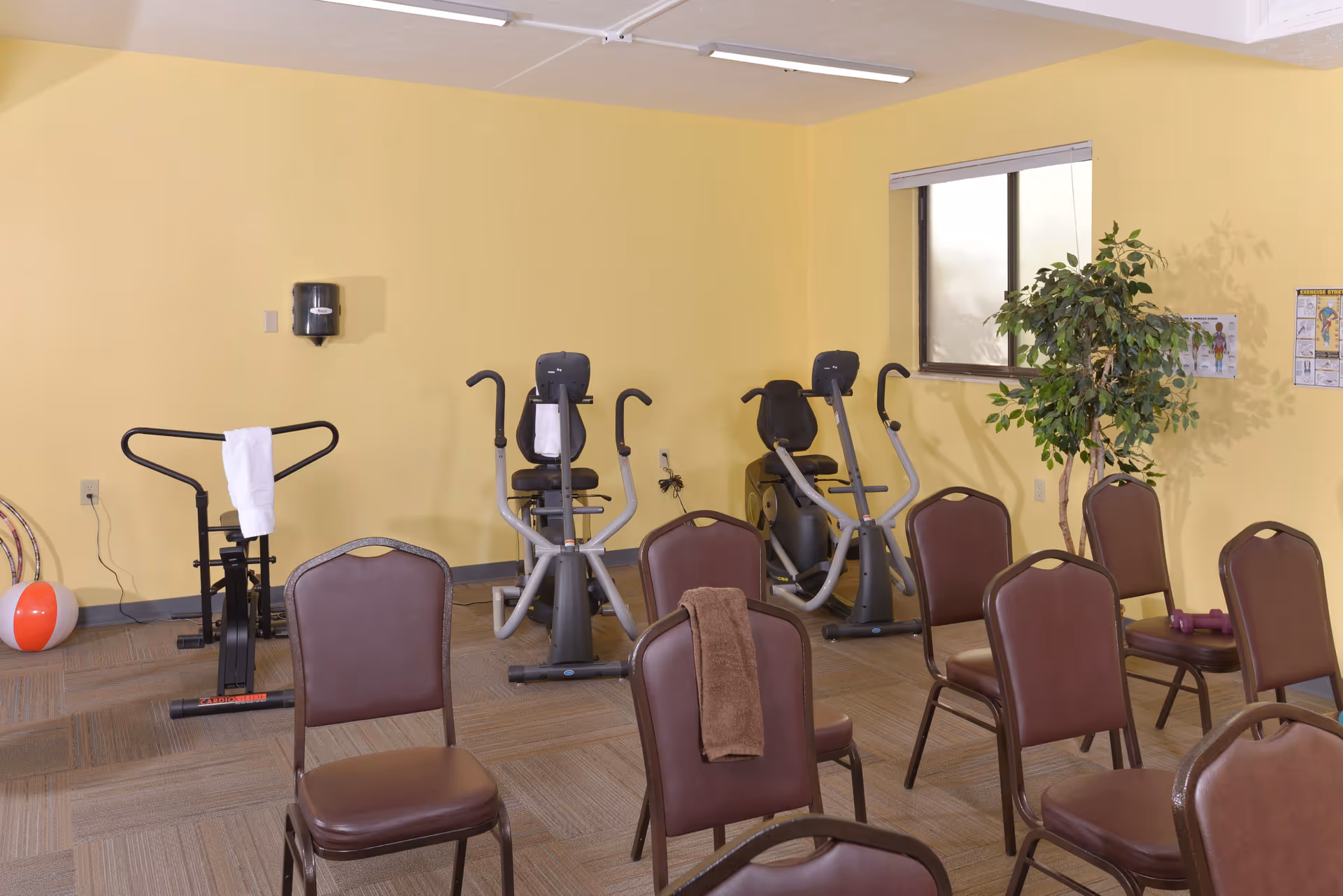A senior living facility exercise room with several stationary exercise bikes, brown chairs arranged in rows, a potted plant near a window, and exercise equipment including a beach ball and dumbbells. The walls are painted yellow and the floor is carpeted.