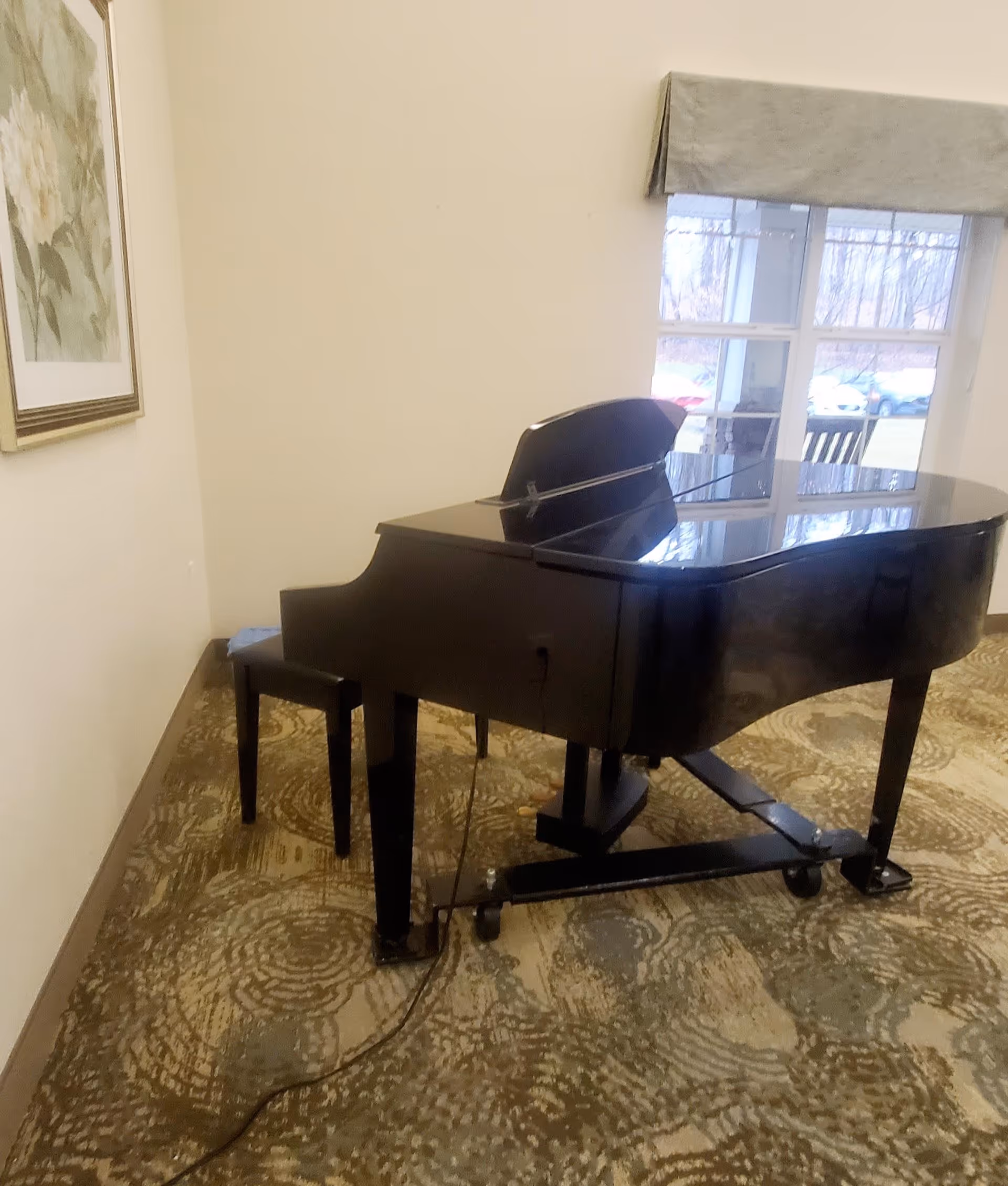 A black grand piano with a matching bench is placed on a patterned carpet in a room with beige walls. There is a framed floral painting on the left wall and a window with a light-colored valance on the right side, showing a view of parked cars outside.