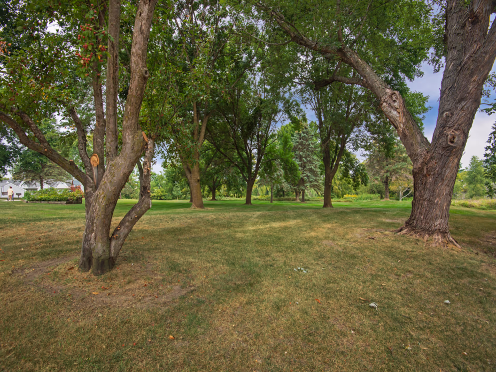 A grassy outdoor area with several large trees providing shade. The scene includes a variety of green foliage and a partly cloudy sky in the background.