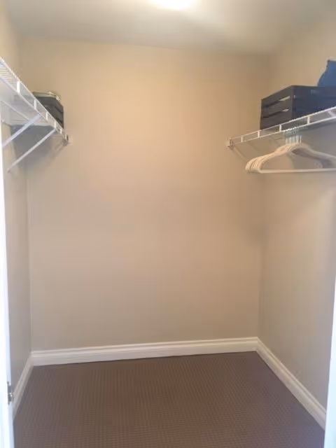 Empty walk-in closet with carpeted floor, wire shelving on both sides, a few hangers and storage boxes.