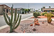 A desert-style residential street with gravel landscaping featuring various cacti and small bushes. Single-story homes with beige and brown exteriors are visible along the street under a clear sky.