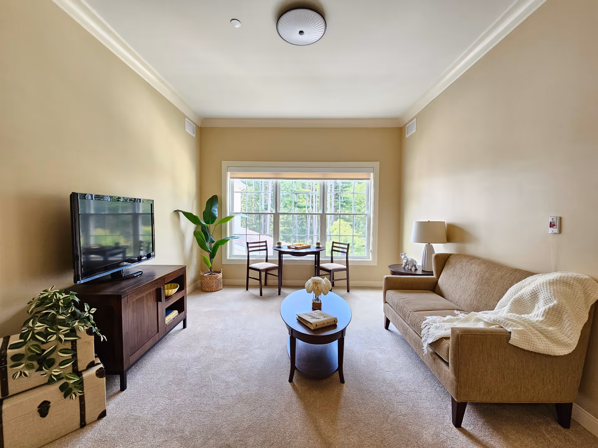 A cozy living room with beige walls and carpet, featuring a brown sofa with a white throw blanket, a wooden coffee table with a book and flowers, a side table with a lamp and decorative elephant, a TV on a wooden stand, a potted plant, and a small dining table with two chairs near a large window showing greenery outside.