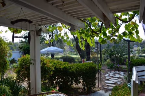Outdoor garden patio under a vine-covered pergola with stone path and seating.