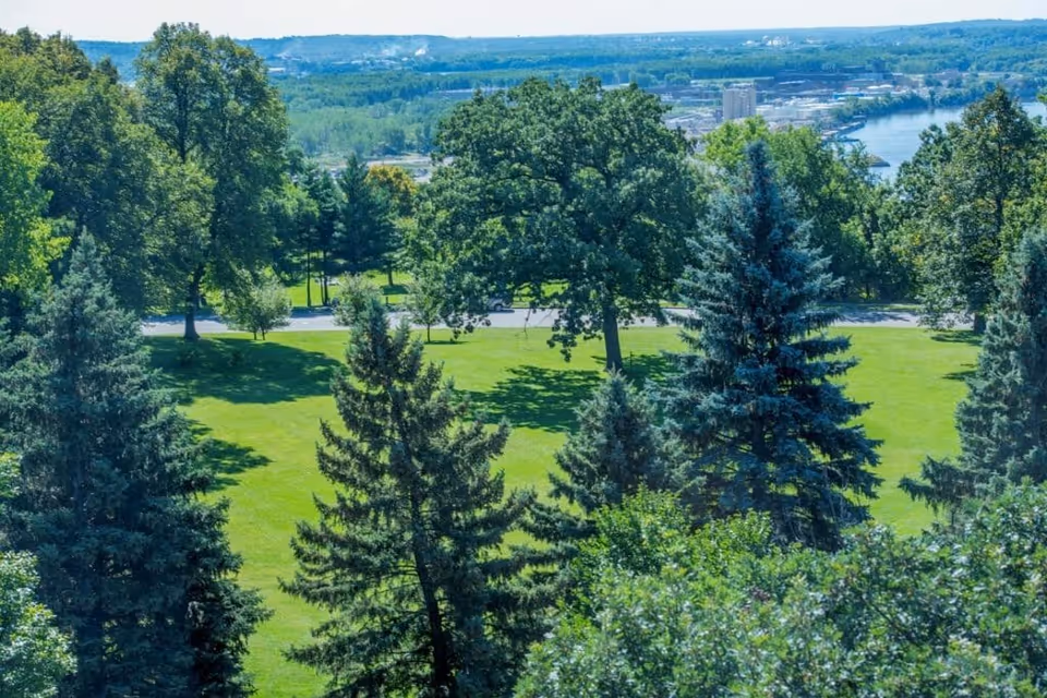A scenic outdoor view of a green park area with various trees including pine and deciduous trees, a road running through the park, and a river in the background under a clear blue sky.