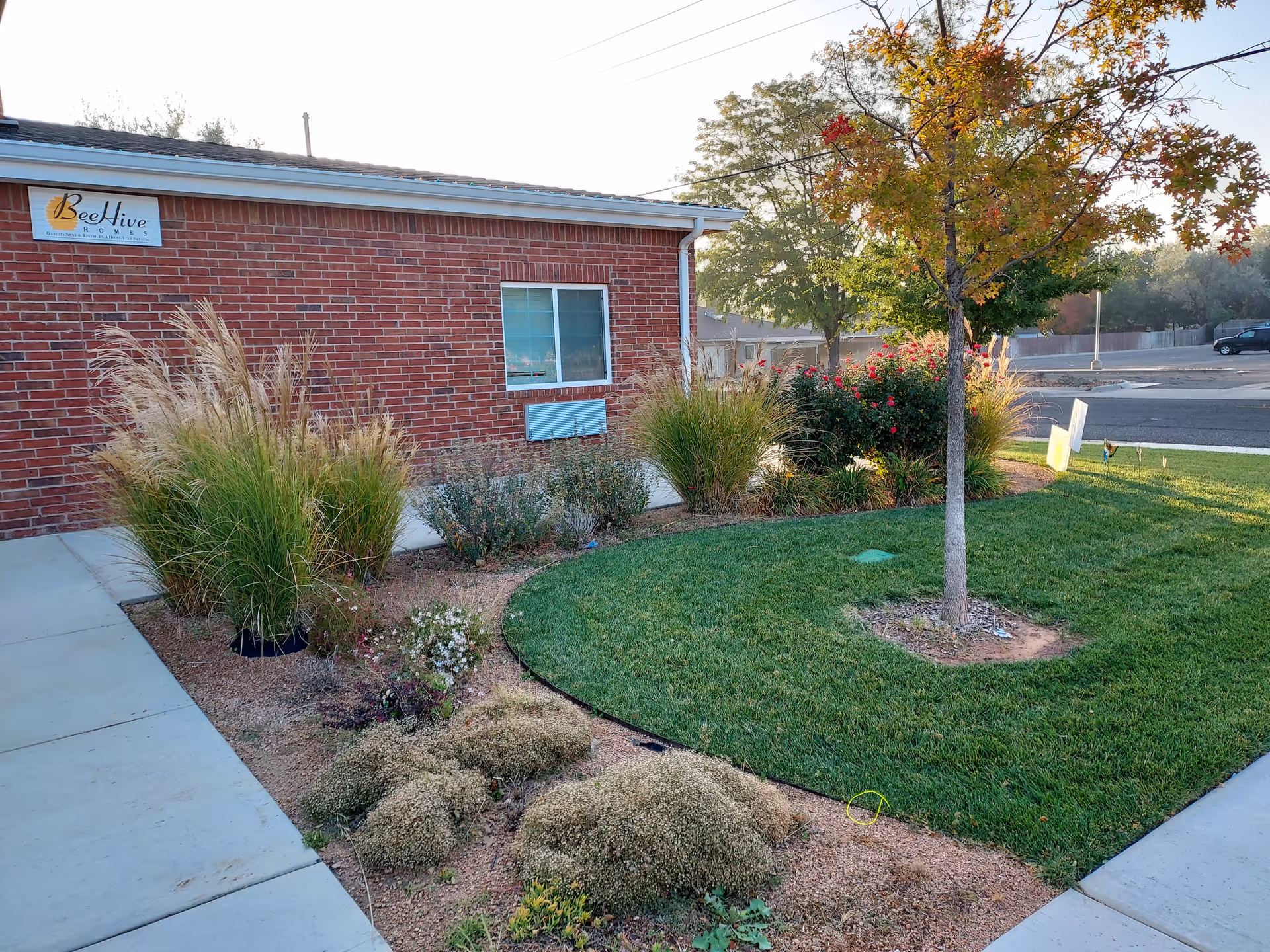 Brick exterior of BeeHive Homes with a landscaped lawn, tree, and sidewalk in front.