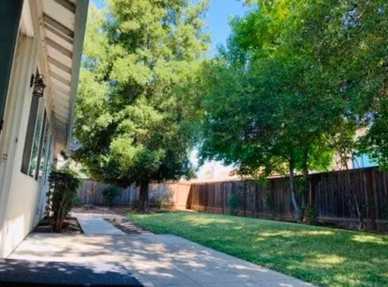 Outdoor view of a backyard area with a concrete walkway, green grass, and several large trees along a wooden fence under a clear blue sky.