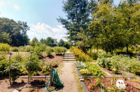 Sunlit community garden with planted beds, a coiled hose on a path, and steps leading up toward trees under a blue sky.
