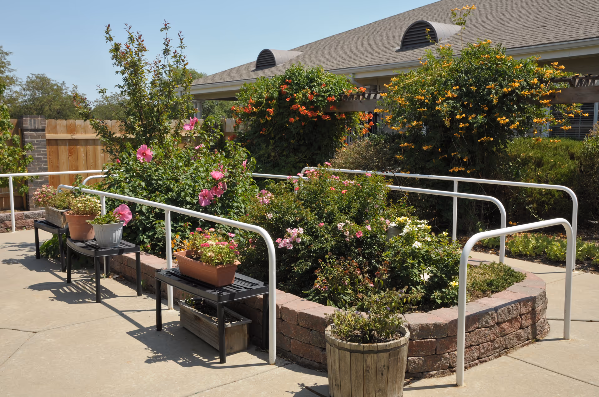 Outdoor garden area with various flowering plants and shrubs surrounded by a low brick wall and white metal handrails. There are several black benches with potted plants on them, and a wooden fence and building with a shingled roof in the background under a clear blue sky.