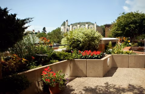 Outdoor garden area with various plants and flowers in raised concrete planters, a potted plant with red flowers in the foreground, and a building with a green roof in the background under a partly cloudy sky.
