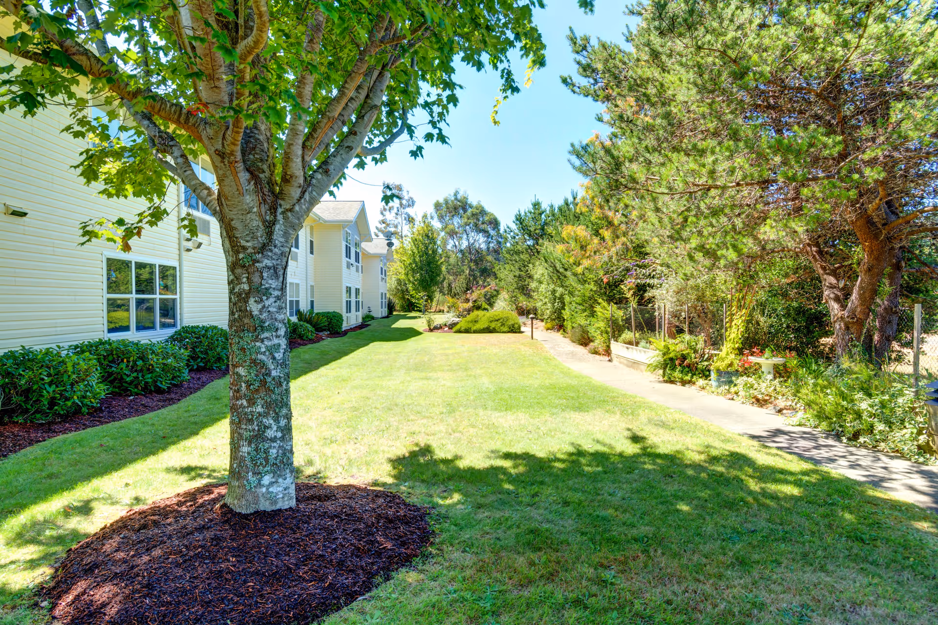 A sunny outdoor garden area at Bayside Terrace by Cogir featuring a large tree with mulch around its base in the foreground, a well-maintained grassy lawn, shrubs along the building, and a pathway lined with various trees and plants on the right side.