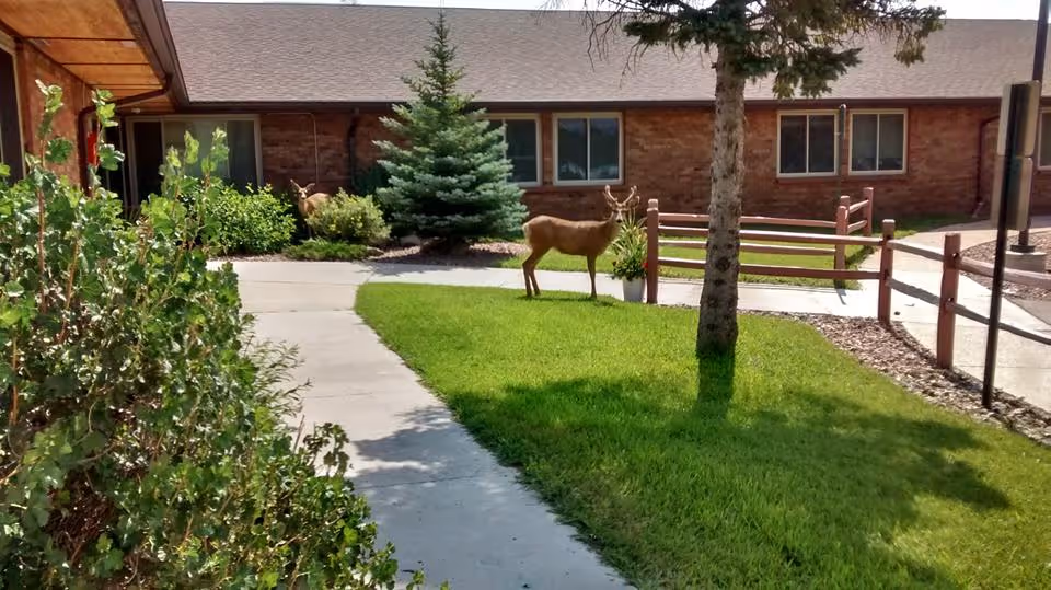 Outdoor courtyard area of a senior living facility with a concrete walkway, green grass, bushes, a tree, and two deer standing near a brick building with windows.