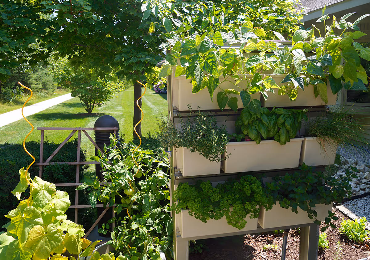 A vertical garden planter with multiple beige rectangular pots filled with various green plants and herbs, situated outdoors near a pathway and surrounded by lush greenery and trees on a sunny day.