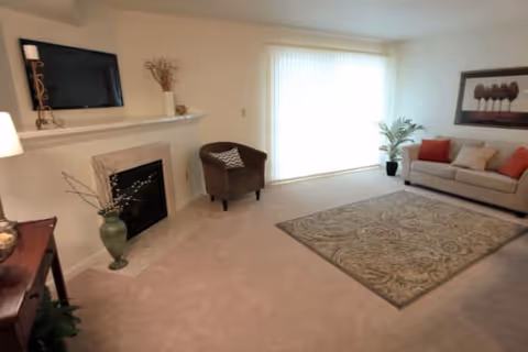 Bright living room with a sofa, armchair, fireplace with wall-mounted TV, area rug, and sliding glass door with vertical blinds.