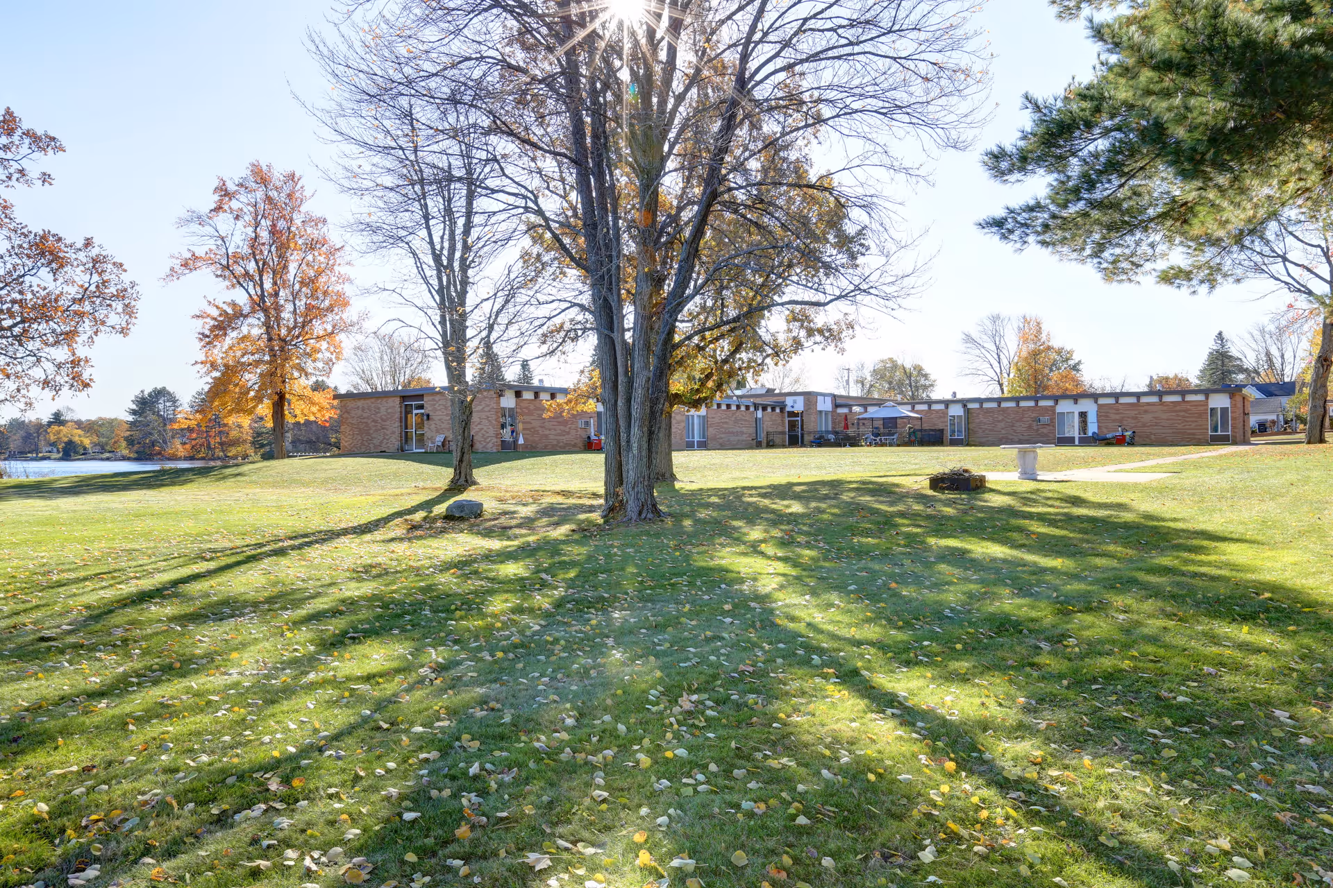 A grassy outdoor area with scattered fallen leaves and several large trees casting long shadows. In the background, there is a single-story brick building with multiple windows and doors. The sky is clear and blue, indicating a sunny day in autumn.