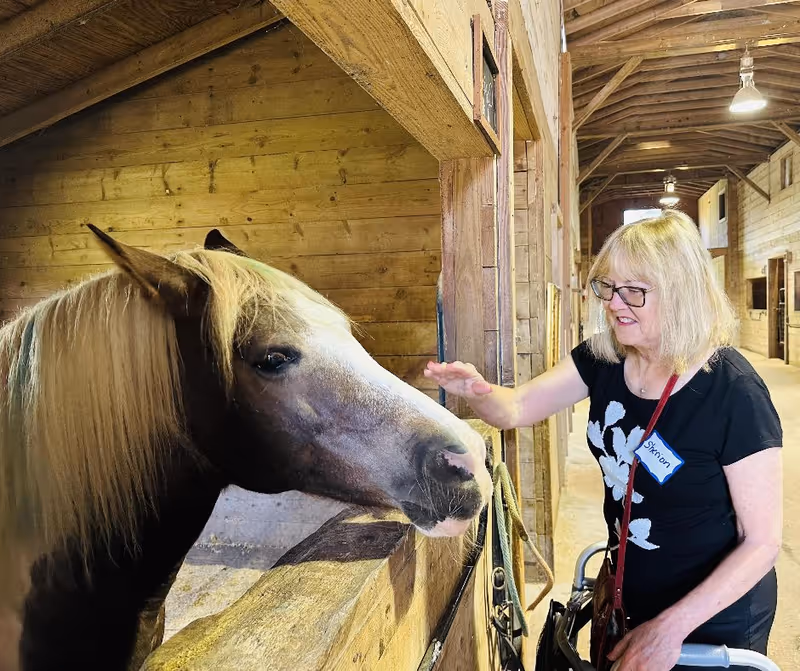 A woman pets a horse over a wooden stall inside a barn.