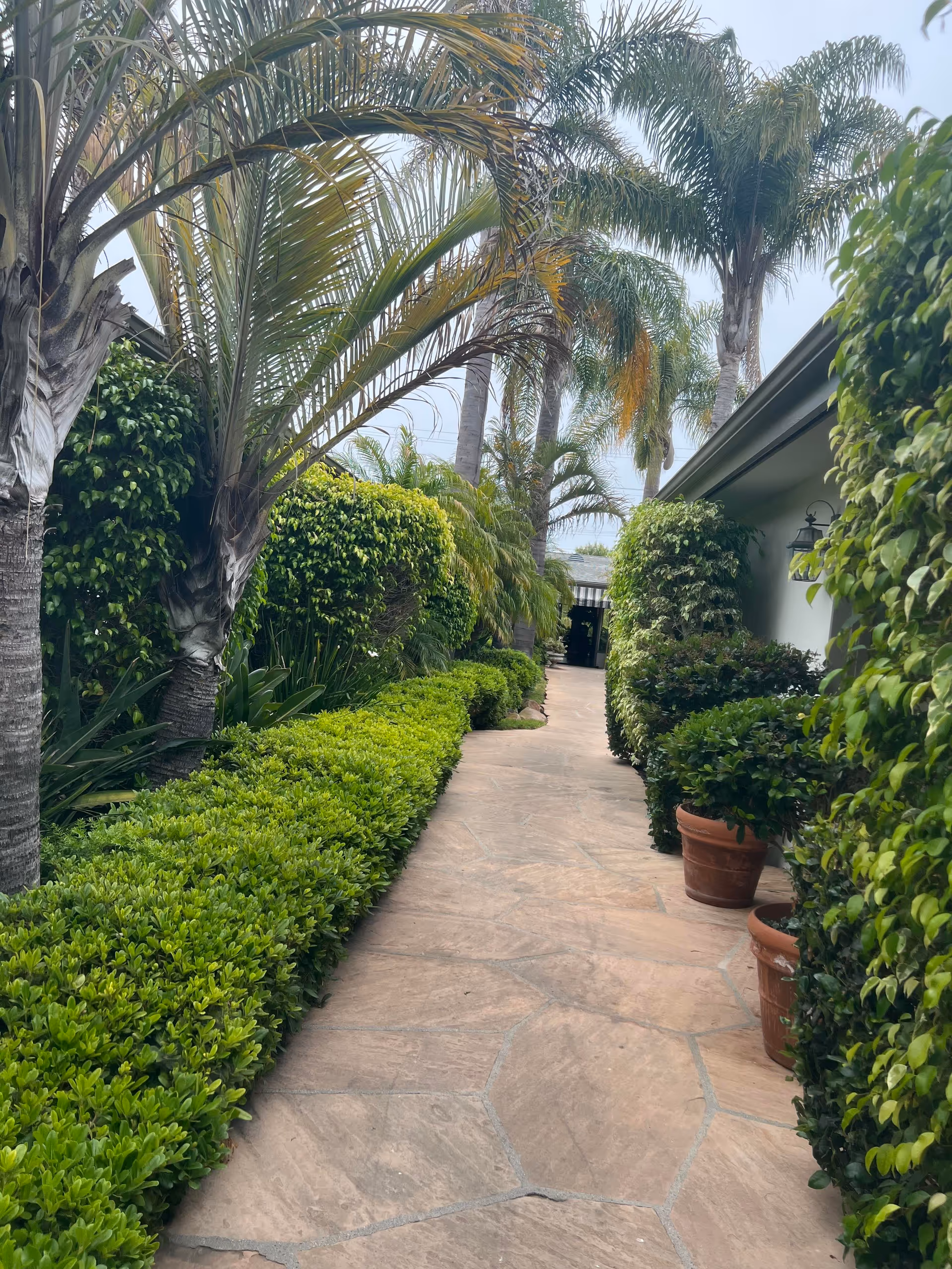 A stone-paved walkway lined with lush green bushes and palm trees on both sides, leading to a building entrance partially visible in the distance. The right side features potted plants and a wall-mounted lantern light.