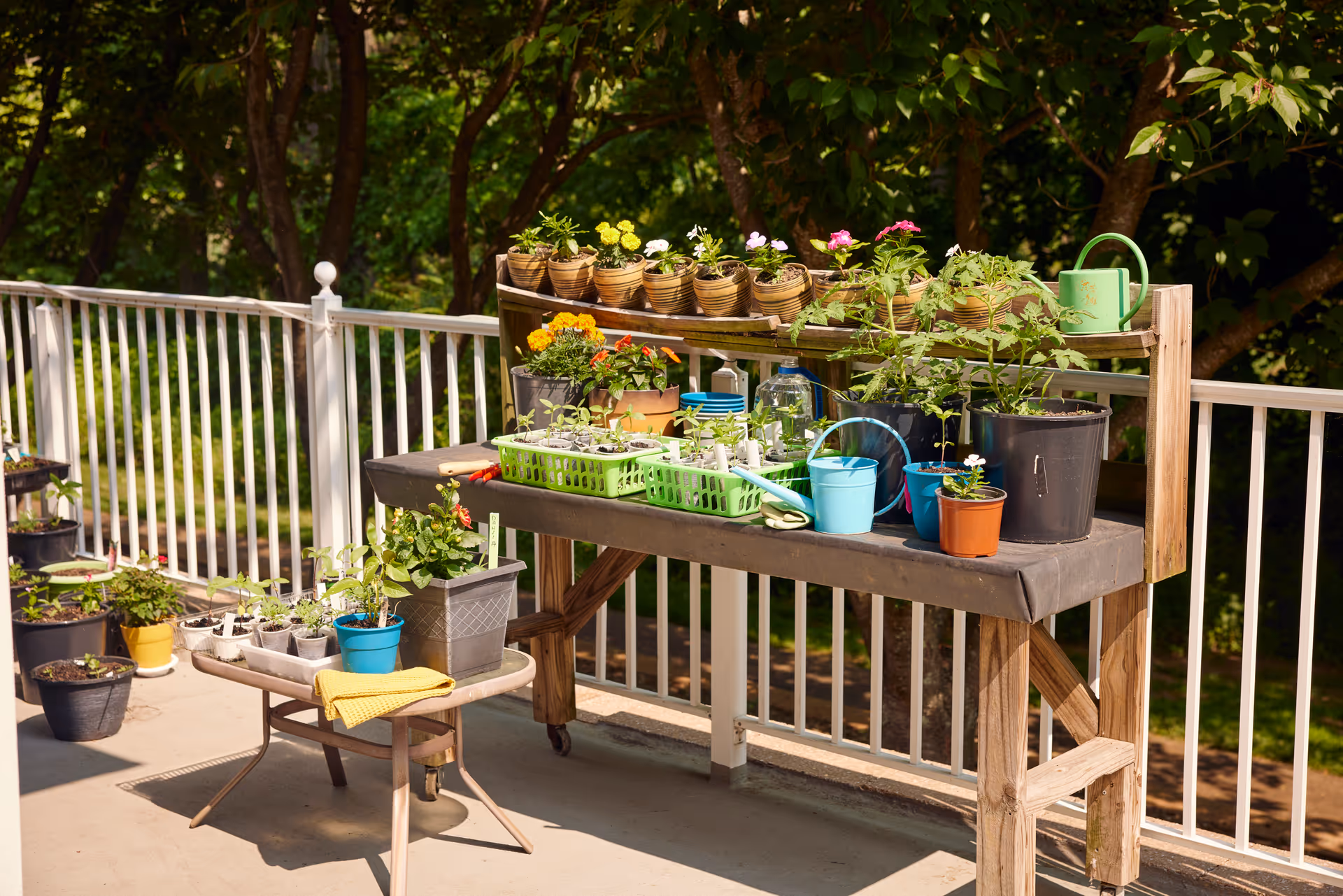 A sunlit outdoor gardening area with a wooden potting bench holding various potted plants, gardening tools, and watering cans. A small table nearby also holds more potted plants and a yellow cloth. The area is enclosed by a white railing with trees and greenery in the background.
