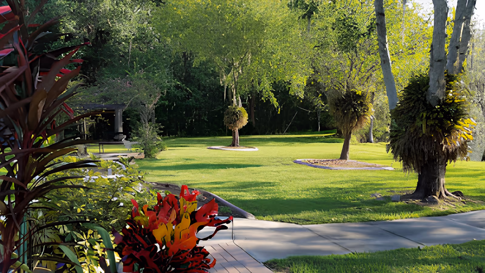 A lush green outdoor garden area with well-maintained grass, several trees with ferns growing around their trunks, and colorful plants in the foreground. A paved pathway curves through the garden, and there is a shaded structure partially visible in the background.