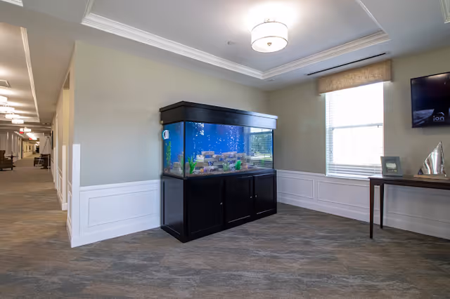 A spacious interior hallway area with a large fish tank on a black cabinet against a light gray wall. To the right, there is a window with blinds and a small table holding decorative items. The hallway extends to the left with ceiling lights and doors along the corridor.