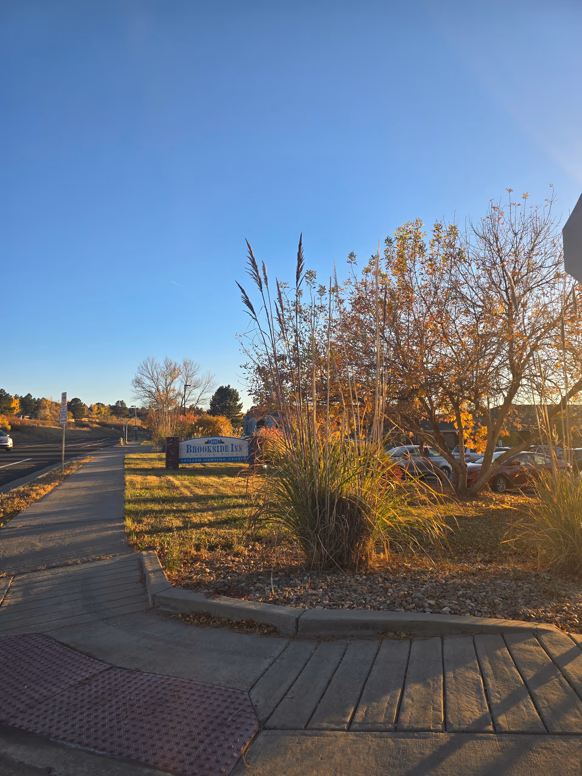 Sidewalk and street view with a landscaped area featuring tall grasses and trees with autumn leaves. A sign for Brookside Inn Skilled Nursing Center is visible near the center of the image, with parked cars and a clear blue sky in the background.