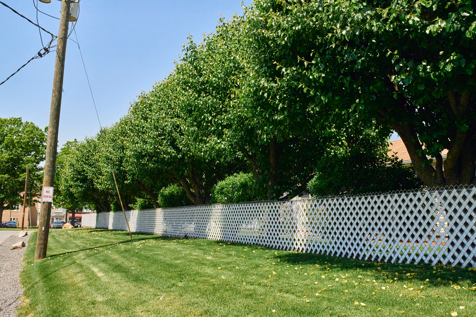 A row of neatly trimmed trees behind a white lattice fence with a green lawn in the foreground. A utility pole with a 'No Parking' sign is visible on the left side under a clear blue sky.