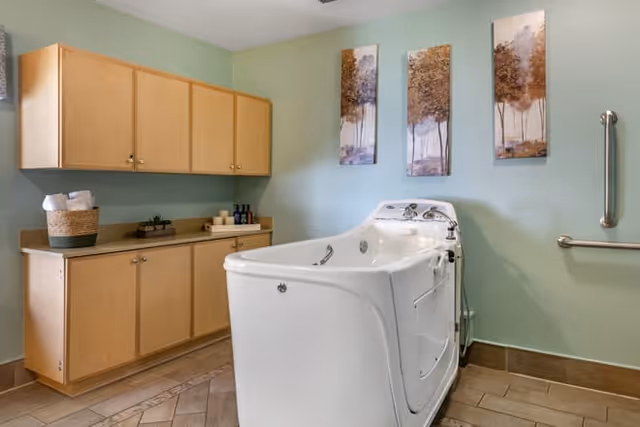 A spacious bathroom with a walk-in bathtub, light green walls, wooden cabinets with toiletries on the countertop, and three vertical paintings of trees on the wall above the bathtub. There is also a metal grab bar on the wall next to the bathtub.