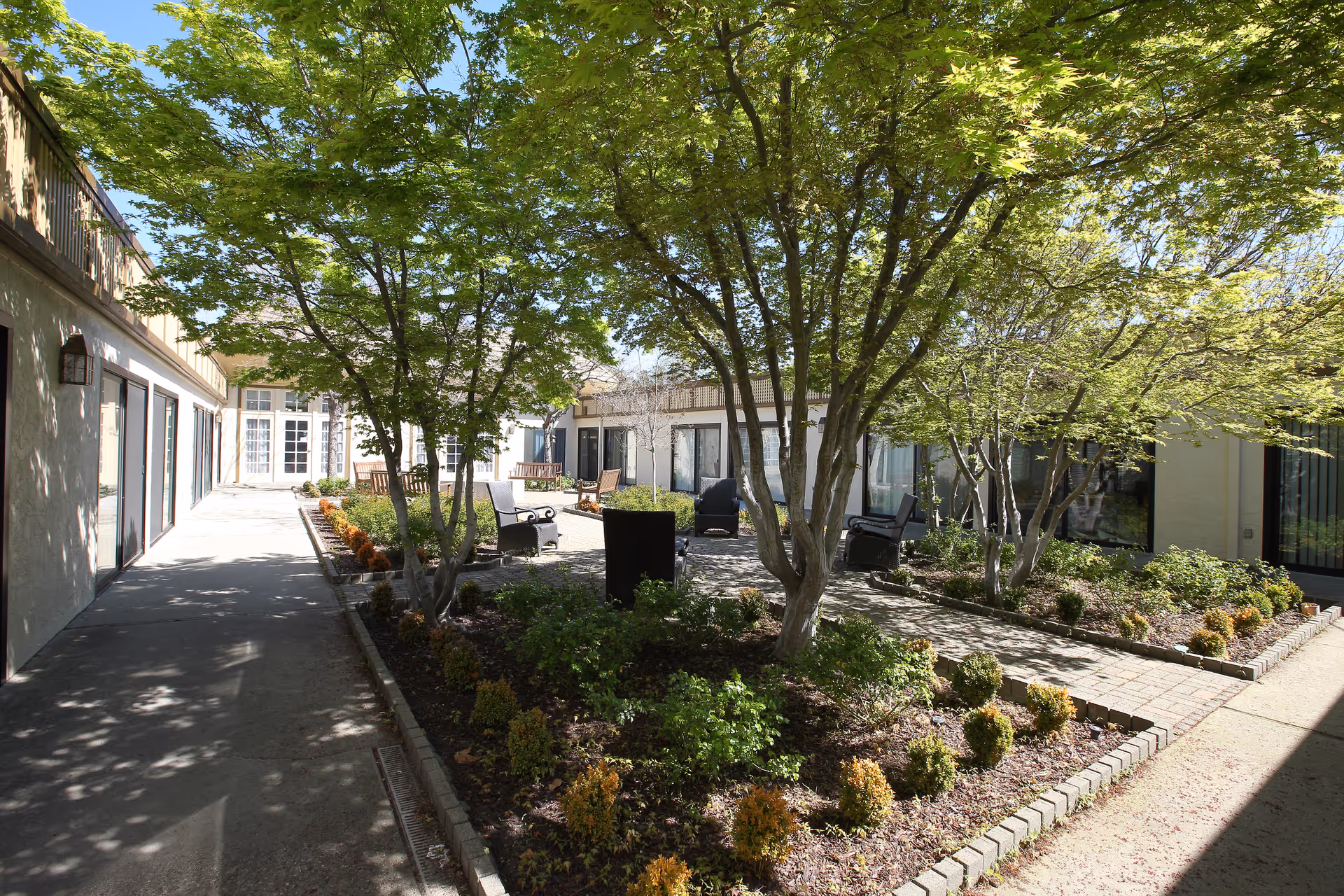 Shaded central courtyard with trees, landscaped beds, paved walkways and outdoor seating between building wings.