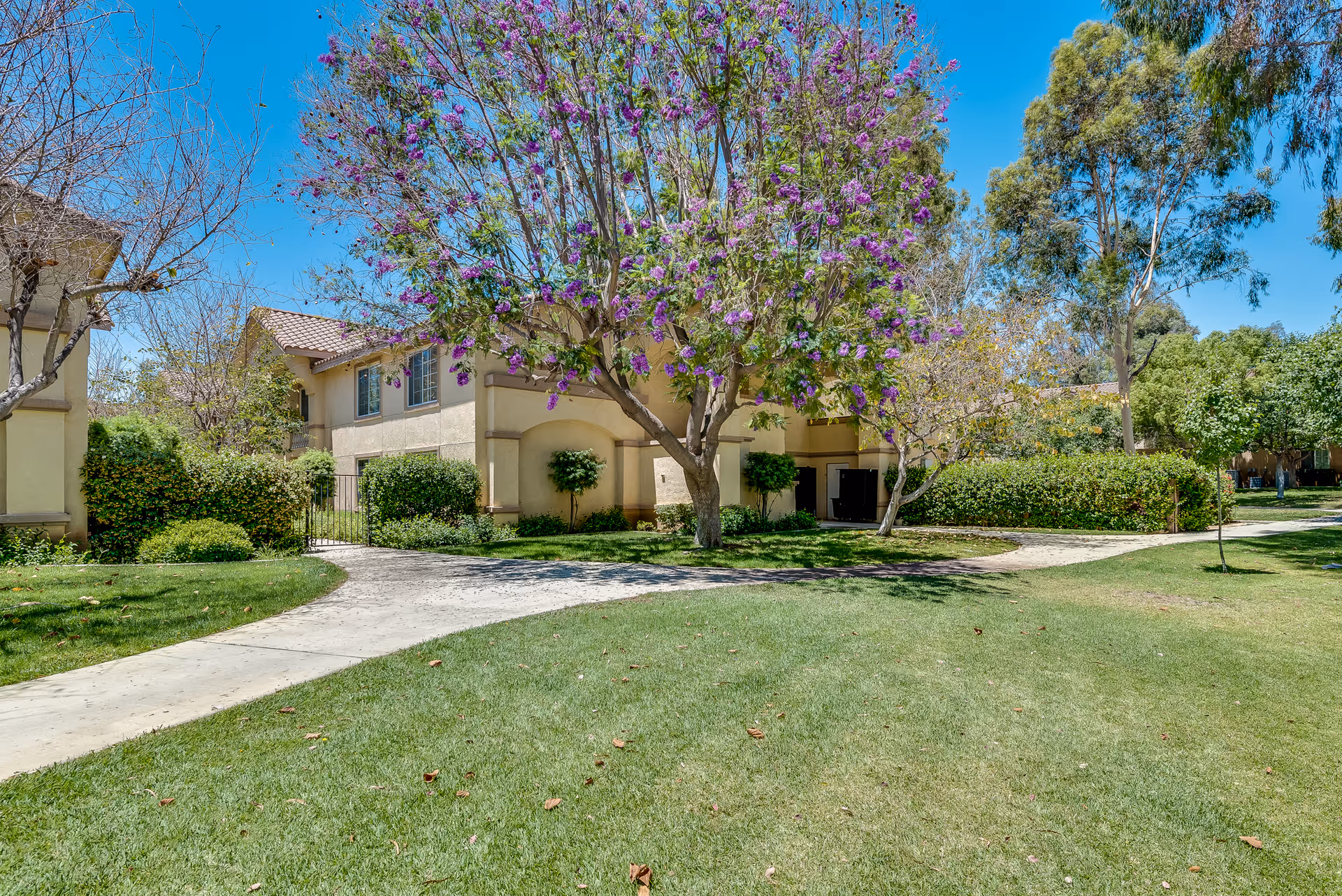 Outdoor view of a senior living facility with well-maintained green lawns, a concrete pathway, and a large tree with purple flowers in the center. Beige two-story buildings with tiled roofs are visible in the background under a clear blue sky.