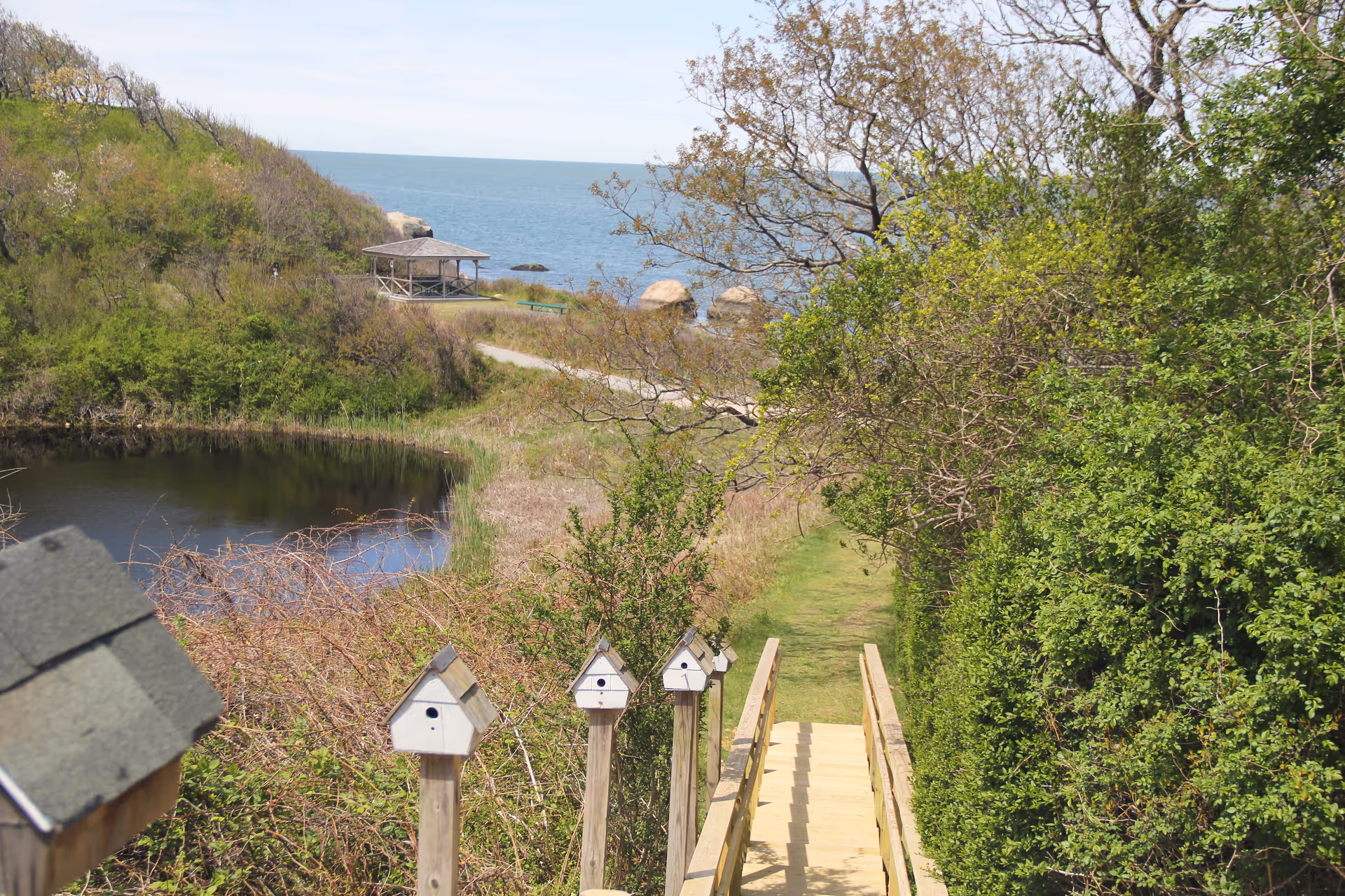 A scenic outdoor view featuring a wooden staircase leading down through greenery towards a small pond and a gazebo near the shoreline with the ocean in the background under a clear sky.