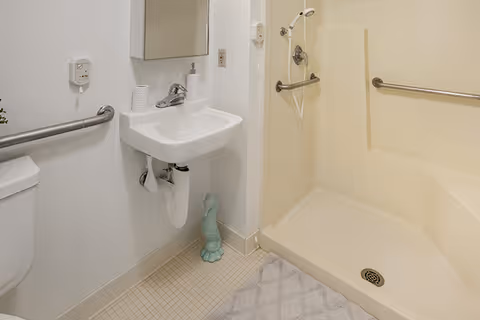 Accessible bathroom featuring a wall-mounted sink, toilet, grab bars, and a walk-in shower stall.