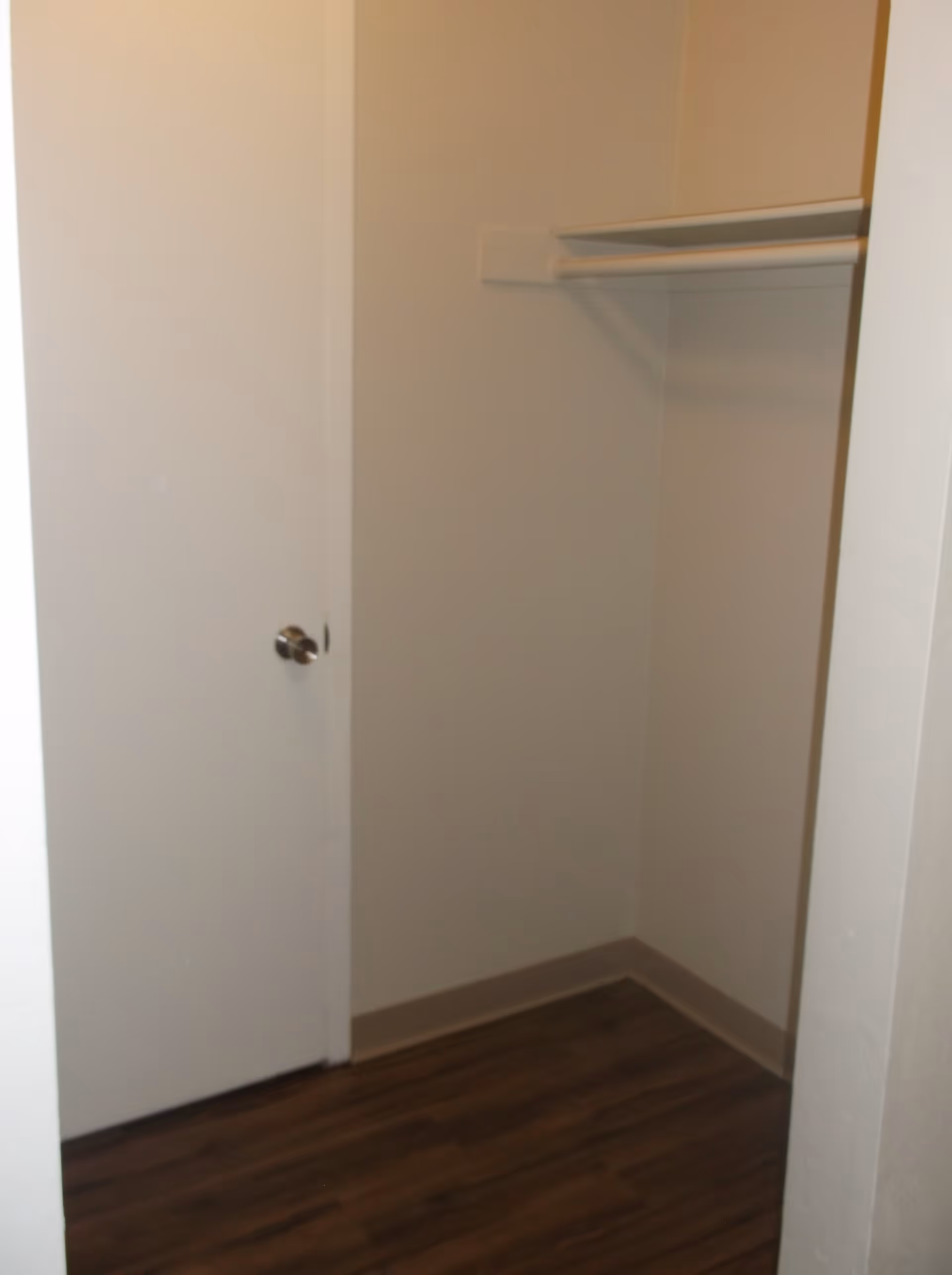 Empty closet with white walls, a white door with a silver knob, a white shelf with a hanging rod, and dark wood flooring.