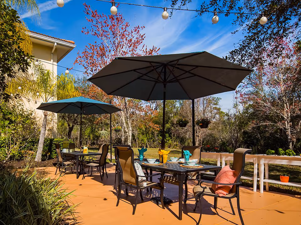 A sunlit outdoor patio with dining tables, chairs, and large umbrellas on a paved terrace overlooking trees and landscaping.