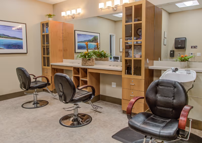 Hair salon area with three black styling chairs, mirrors, wooden cabinets, a wash sink, and decorative plants.