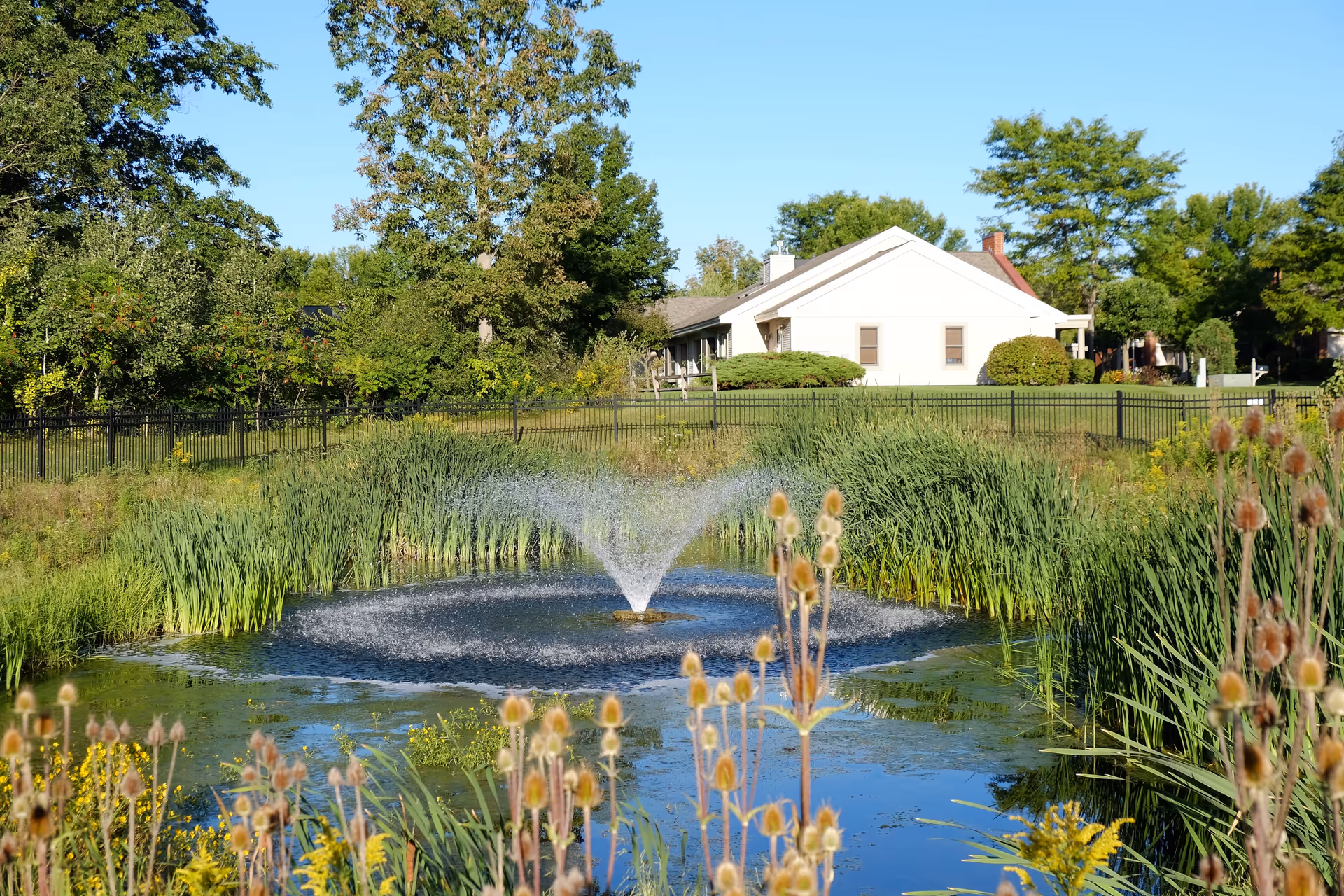 A serene outdoor scene featuring a small pond with a water fountain spraying water upwards, surrounded by tall grasses and wildflowers. In the background, there is a white house with a sloped roof, bushes, and trees under a clear blue sky.