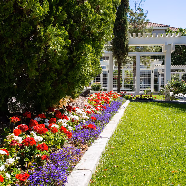 A vibrant garden area with a neatly trimmed green lawn bordered by colorful flower beds featuring red, white, and purple flowers. There are tall green bushes and trees, and a white pergola structure in the background with a building partially visible behind it.