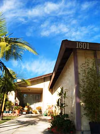 Front exterior of Absolute Care Home with palm trees and a walkway.