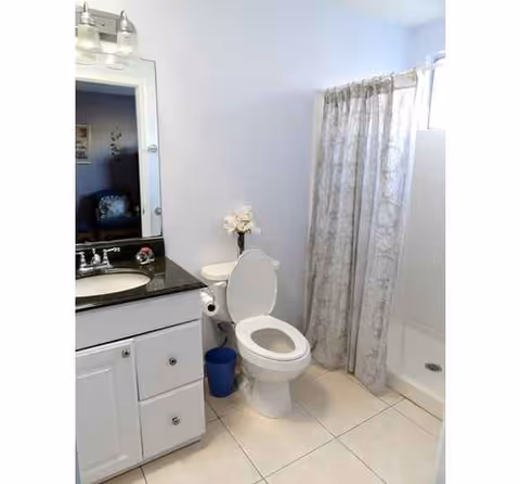 Bright bathroom with sink, toilet, shower, mirror, and a small flower on the counter.