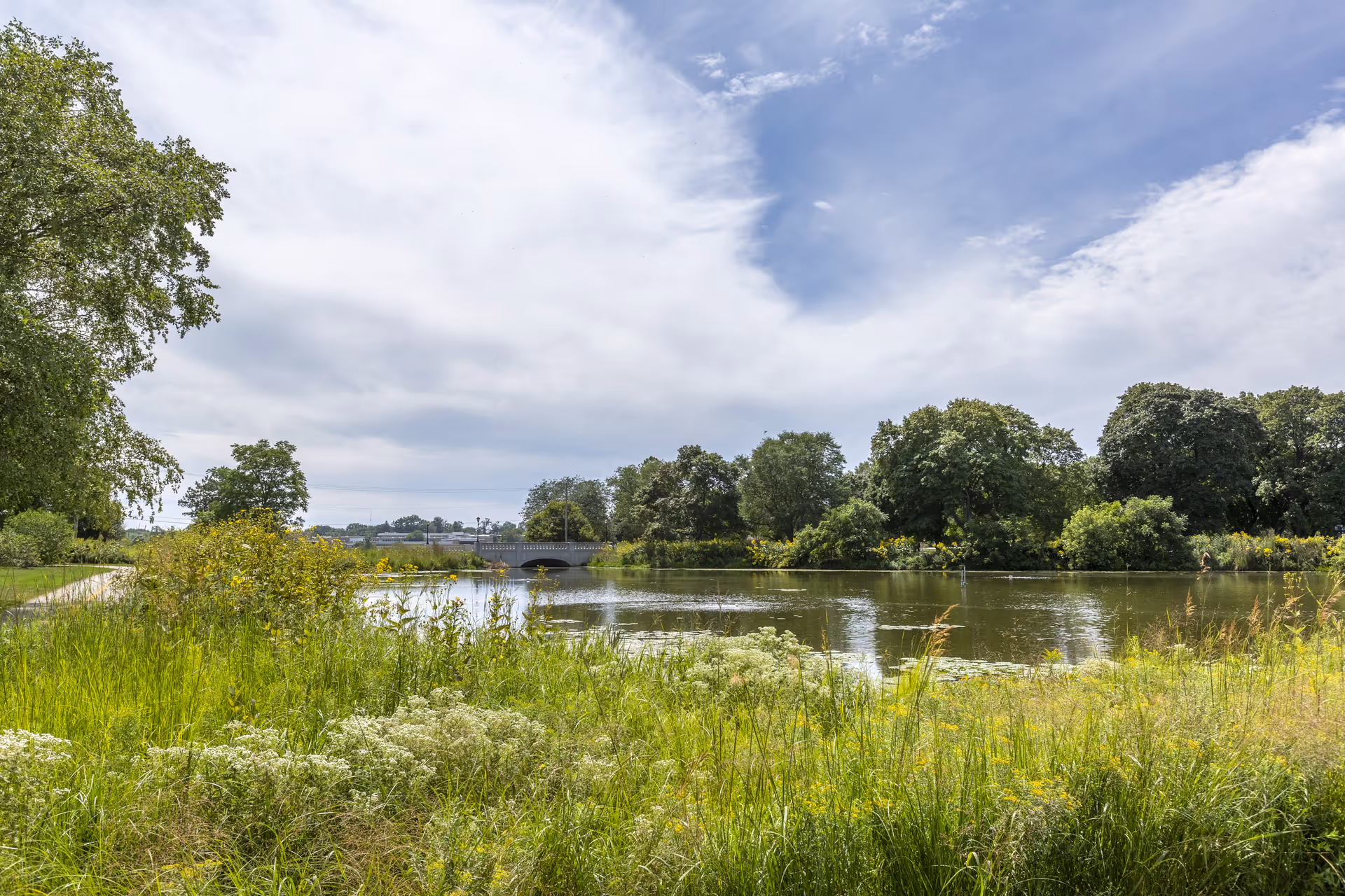 A scenic outdoor view of a pond surrounded by lush green grass, wildflowers, and trees under a partly cloudy sky. A small bridge is visible in the distance across the pond.
