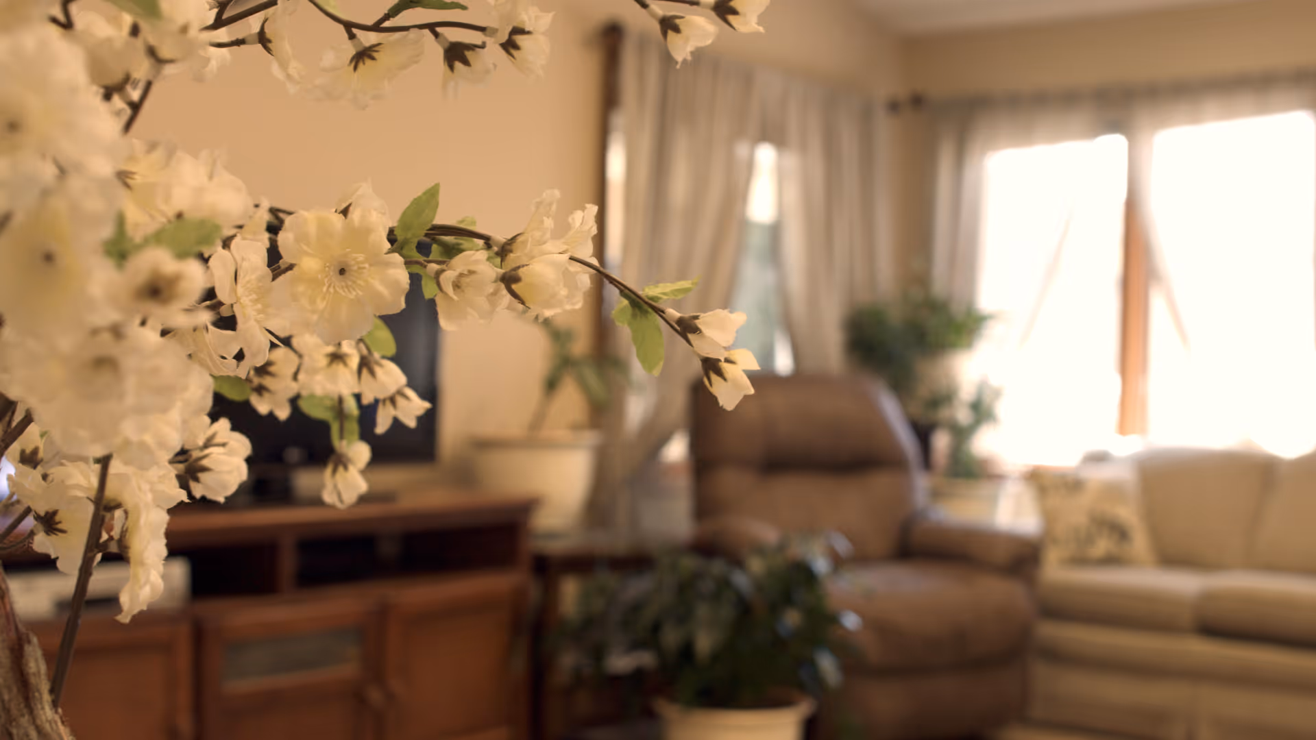 Decorative white flowers in the foreground of a cozy living room with a recliner, sofa, TV stand and potted plants by sunlit windows.